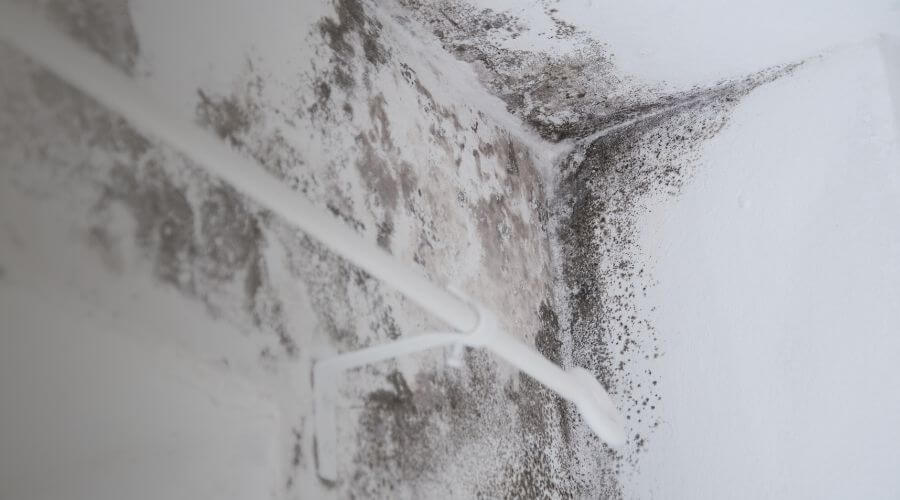 Why choose water damage restoration service for commercial water damage restoration in Reston